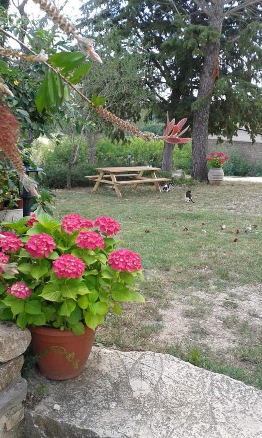 Agriturismo Le Stiacce 사투르니아 외부 사진