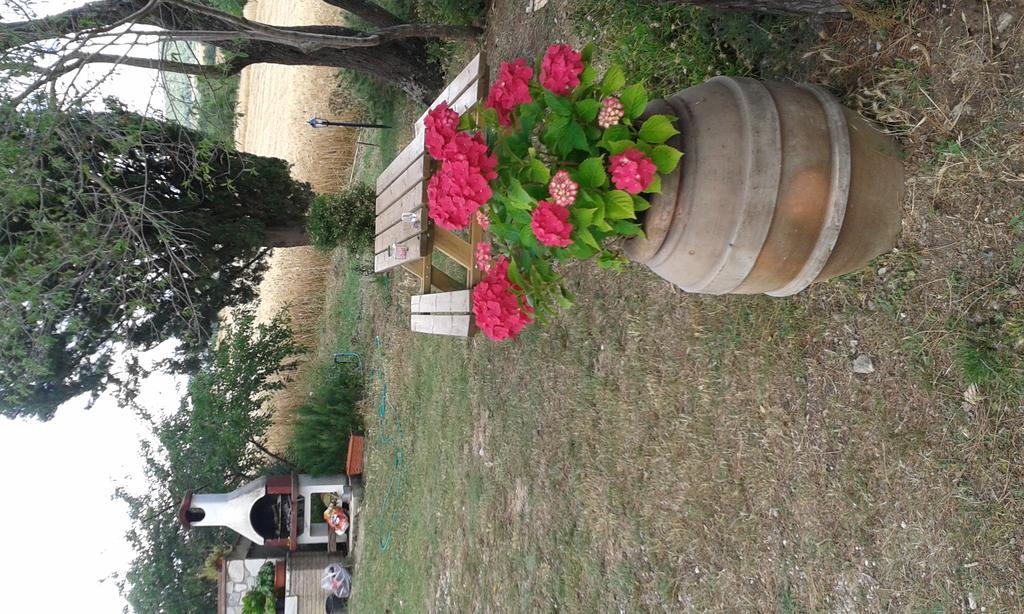 Agriturismo Le Stiacce 사투르니아 외부 사진